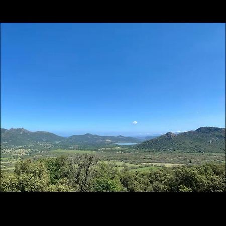 Villa T4 Terrasse Vue Sur Mer Muro (Corsica) Luaran gambar